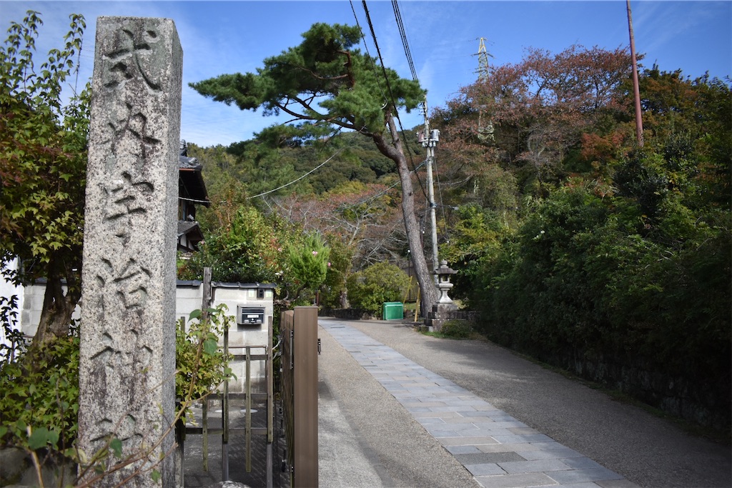 f:id:matsumotoyusuke:20210104220725j:image