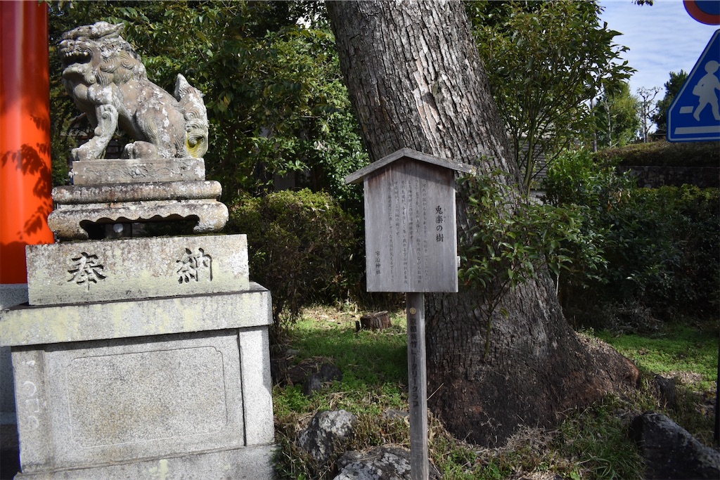 f:id:matsumotoyusuke:20210104220749j:image