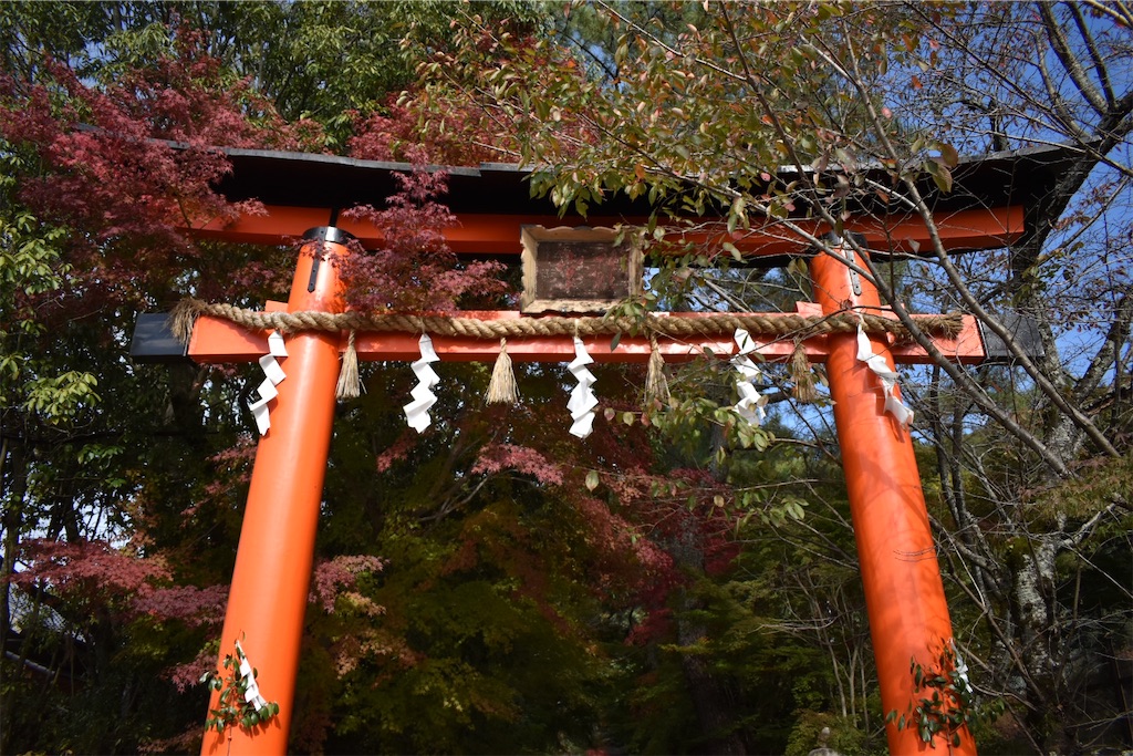 f:id:matsumotoyusuke:20210104221051j:image
