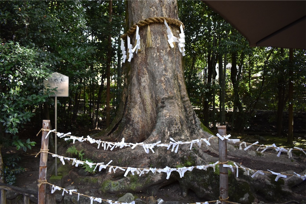 f:id:matsumotoyusuke:20210104221214j:image