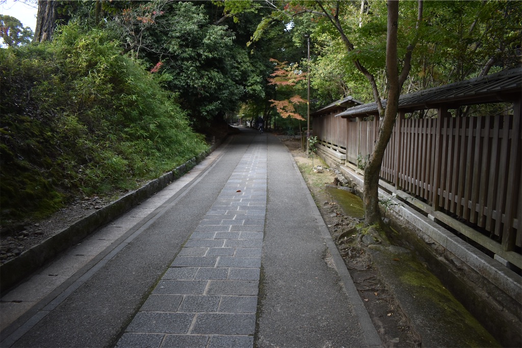 f:id:matsumotoyusuke:20210104221340j:image