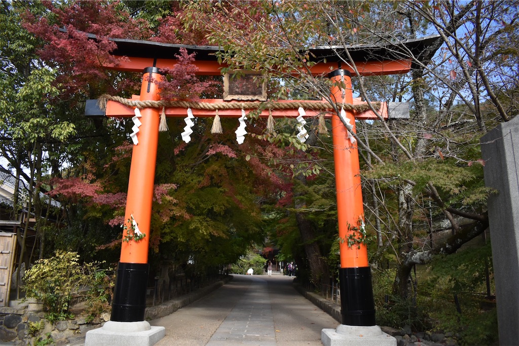 f:id:matsumotoyusuke:20210104221348j:image