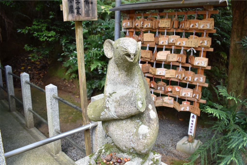 f:id:matsumotoyusuke:20210203210427j:image