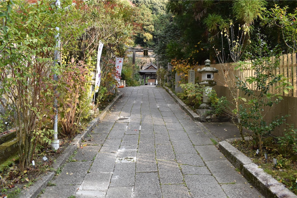 f:id:matsumotoyusuke:20210203210439j:image