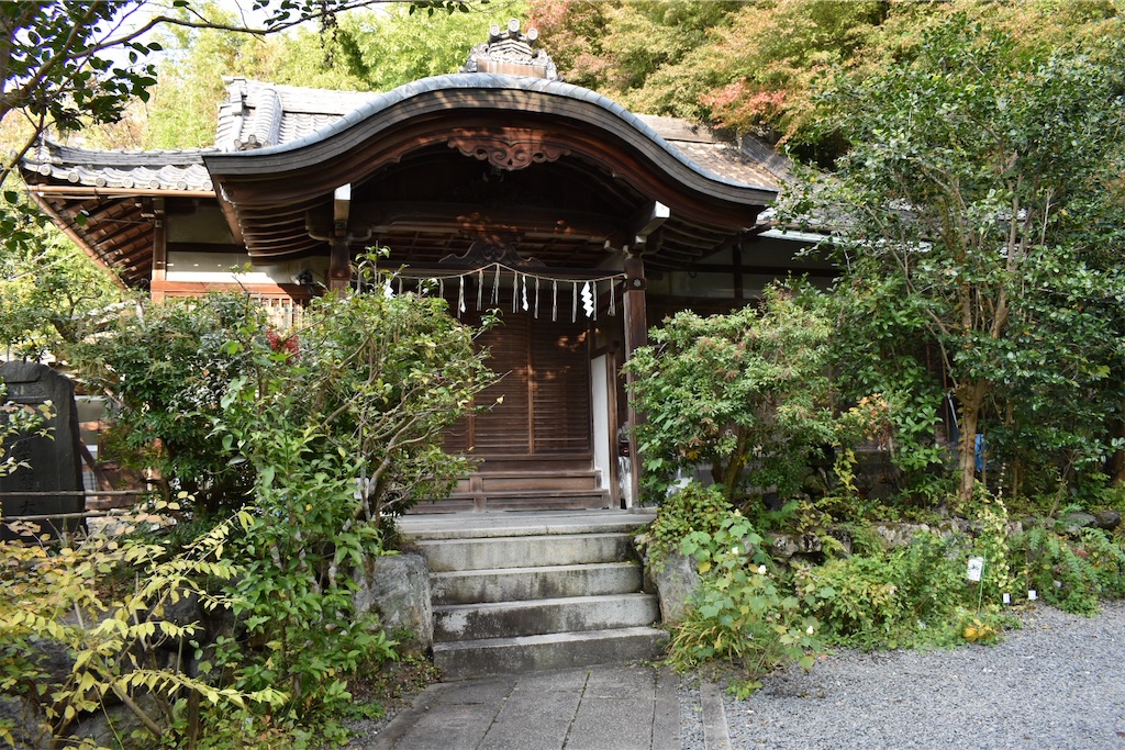 f:id:matsumotoyusuke:20210203210526j:image