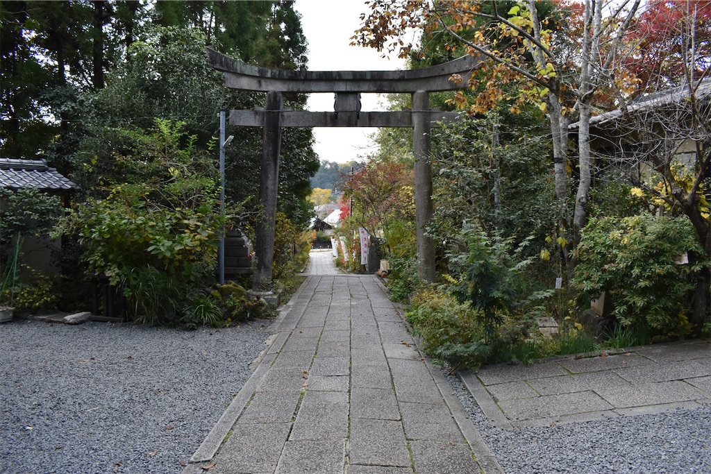 f:id:matsumotoyusuke:20210203210545j:image