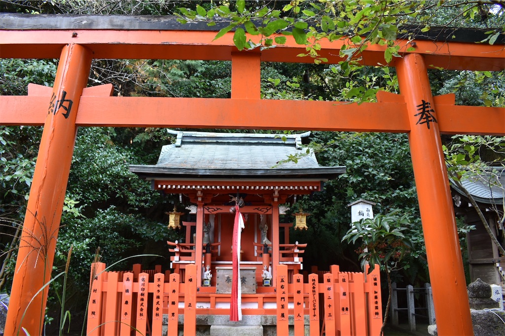 f:id:matsumotoyusuke:20210203210556j:image