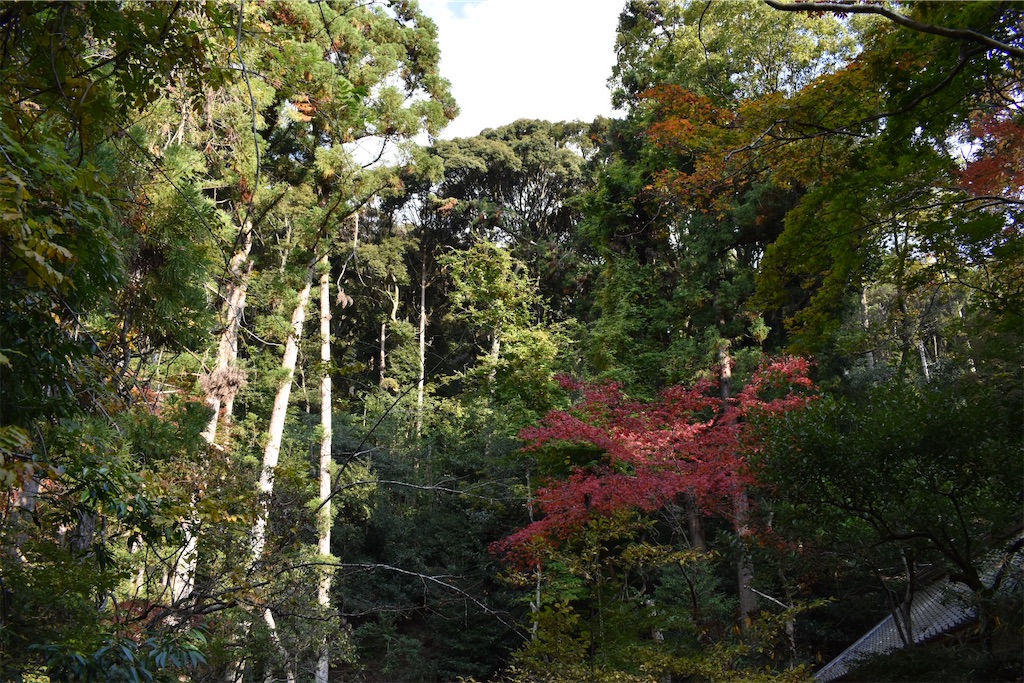 f:id:matsumotoyusuke:20210203212318j:image