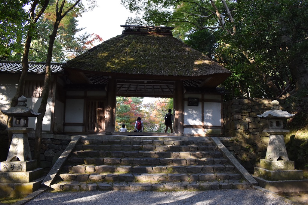 f:id:matsumotoyusuke:20210203212322j:image