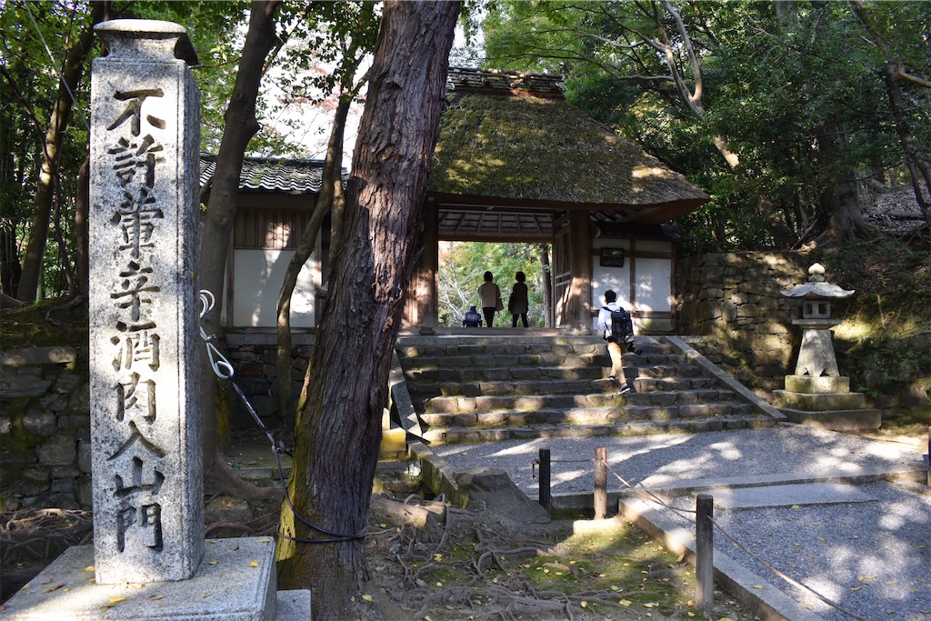 f:id:matsumotoyusuke:20210203212326j:image