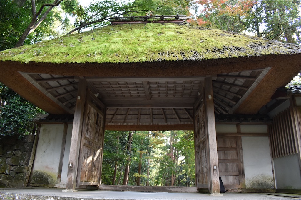 f:id:matsumotoyusuke:20210203212401j:image