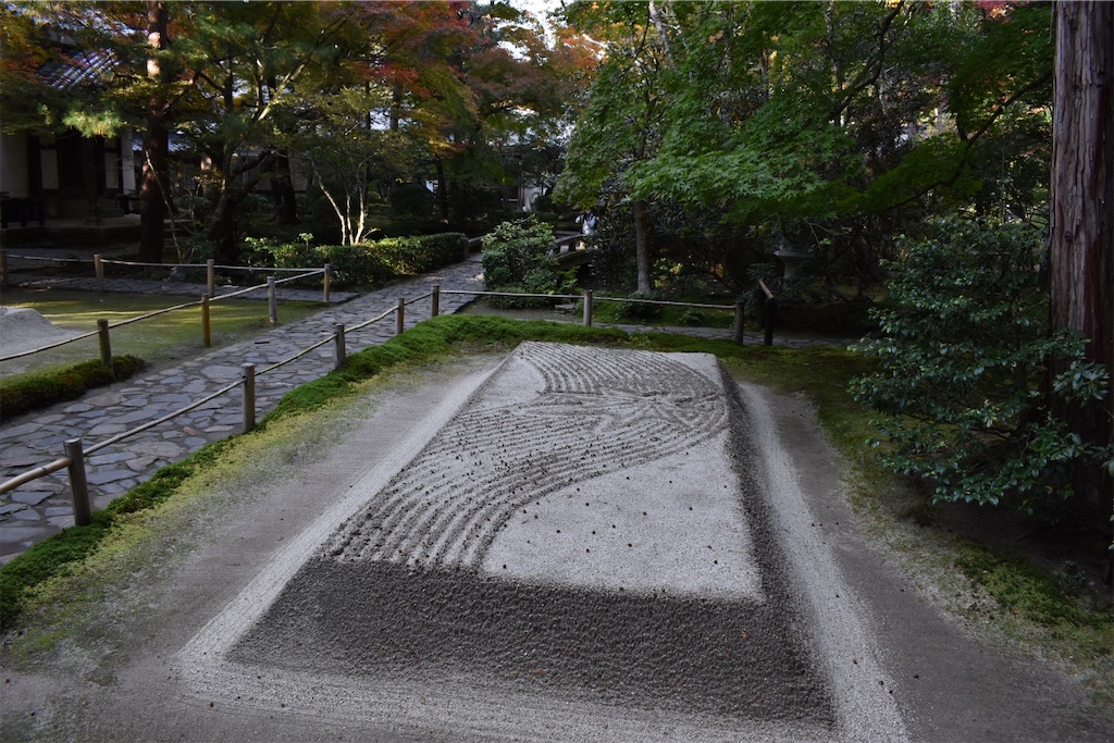 f:id:matsumotoyusuke:20210203212411j:image