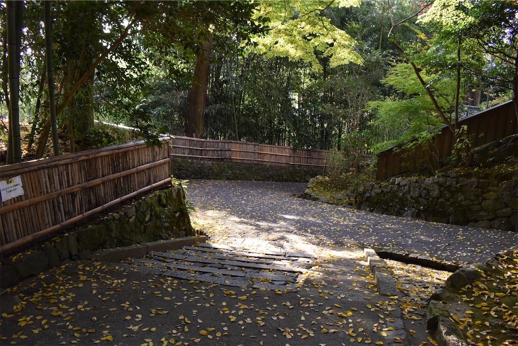 f:id:matsumotoyusuke:20210203212415j:image