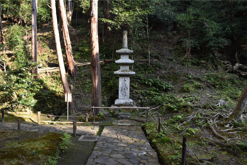 f:id:matsumotoyusuke:20210203212418j:image