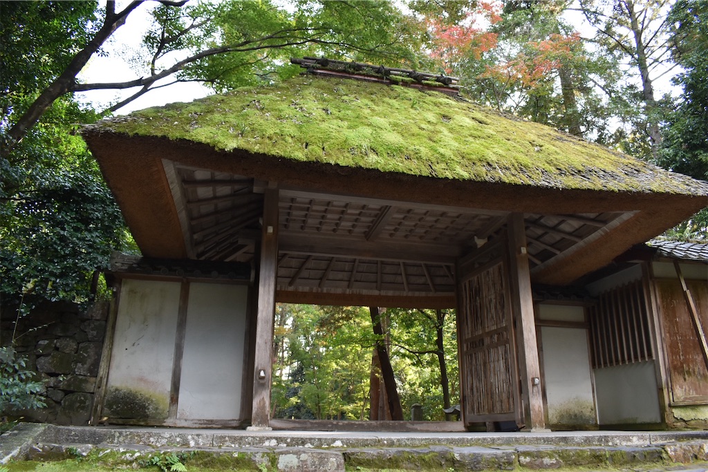 f:id:matsumotoyusuke:20210203212431j:image