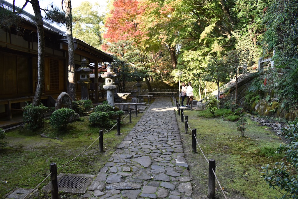 f:id:matsumotoyusuke:20210203212439j:image