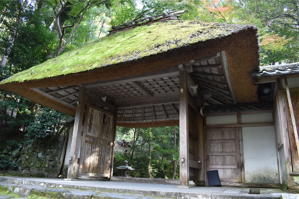 f:id:matsumotoyusuke:20210203212516j:image