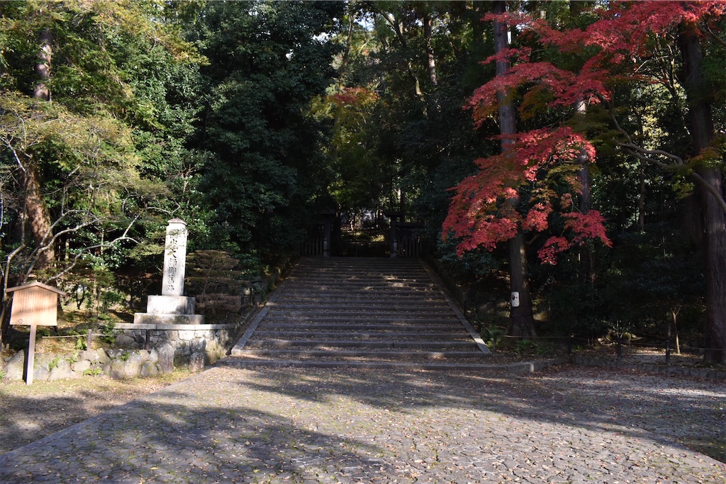f:id:matsumotoyusuke:20210203212524j:image
