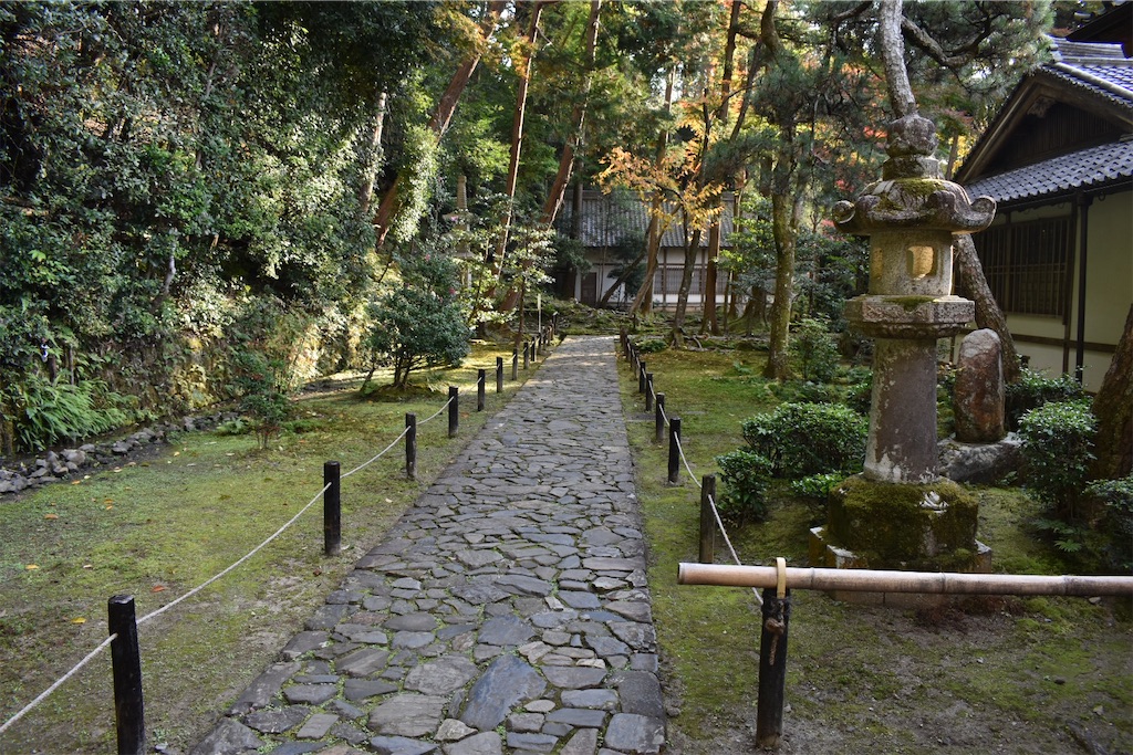 f:id:matsumotoyusuke:20210203212645j:image