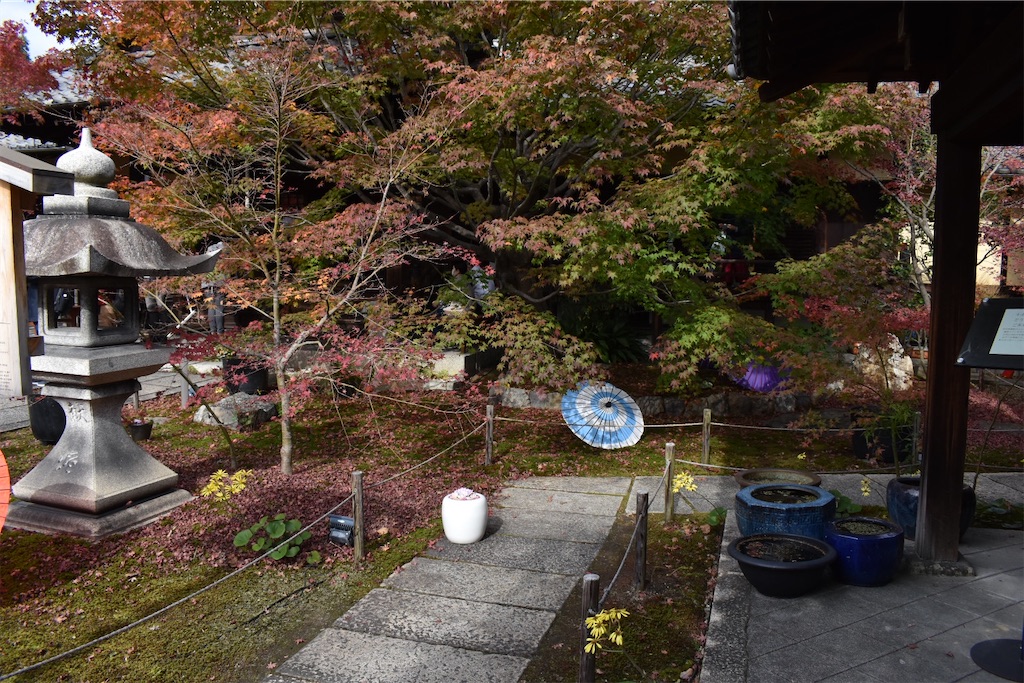f:id:matsumotoyusuke:20210203215837j:image