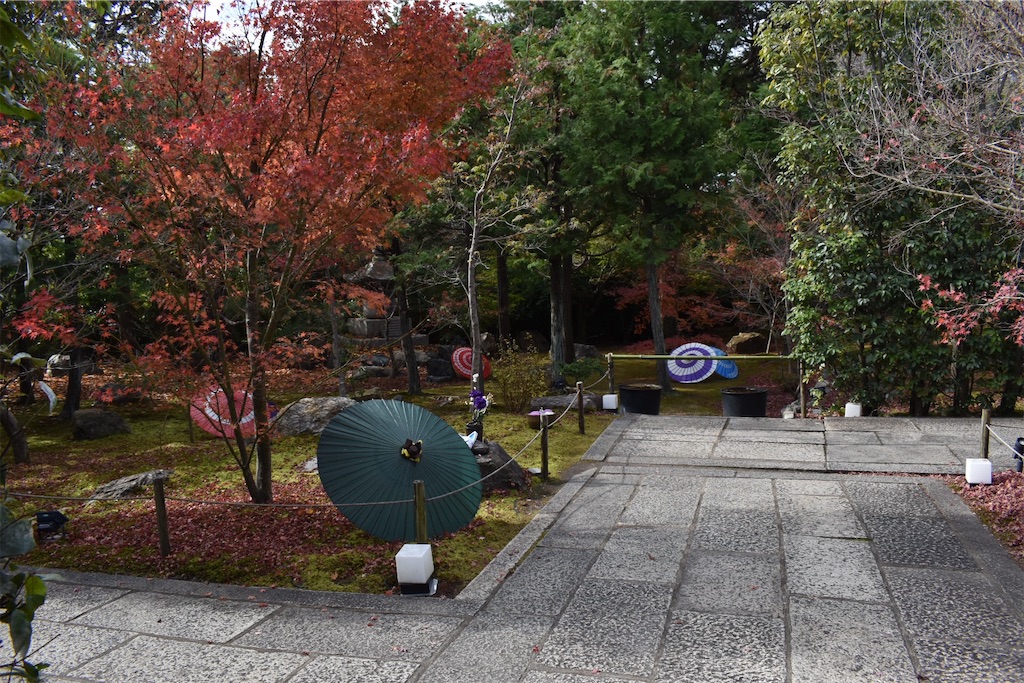 f:id:matsumotoyusuke:20210203215901j:image