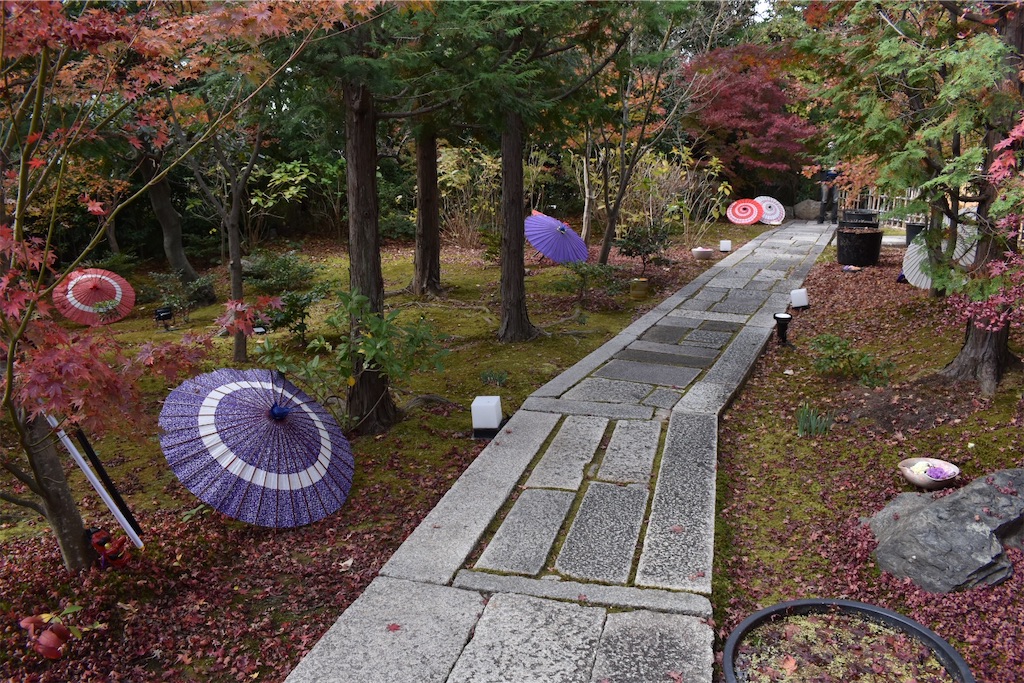 京都の「勝林寺」は花手水と和傘と狐のお面が見どころ！ - 松本悠佑の