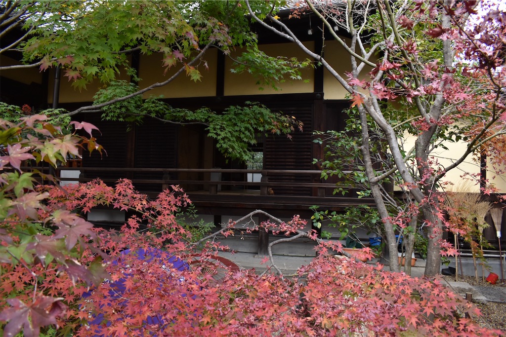 f:id:matsumotoyusuke:20210203215953j:image