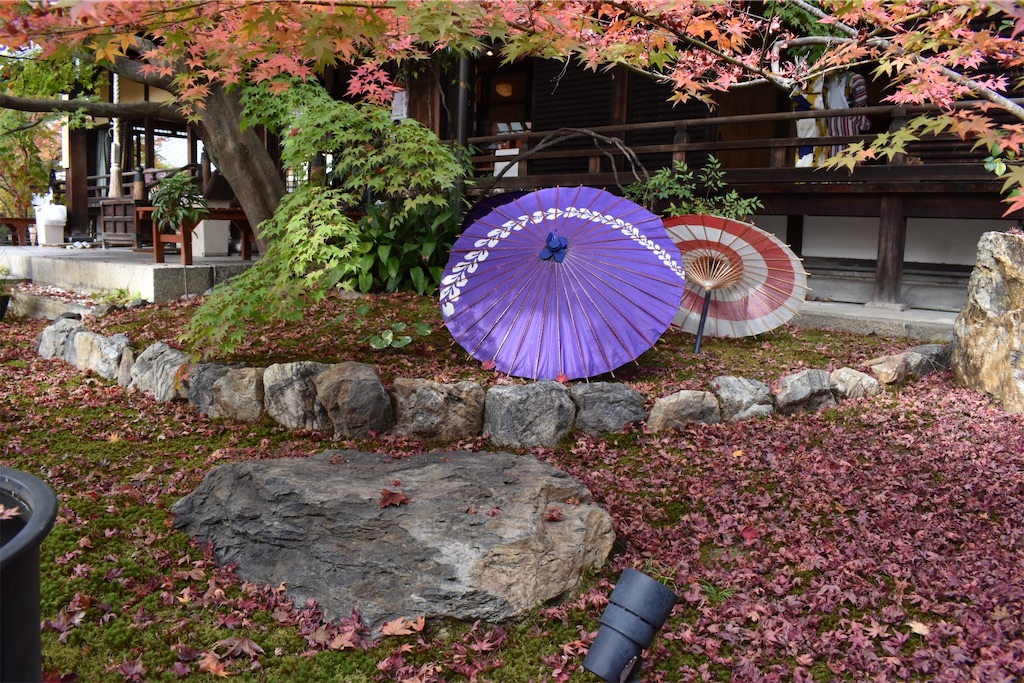 f:id:matsumotoyusuke:20210203215956j:image