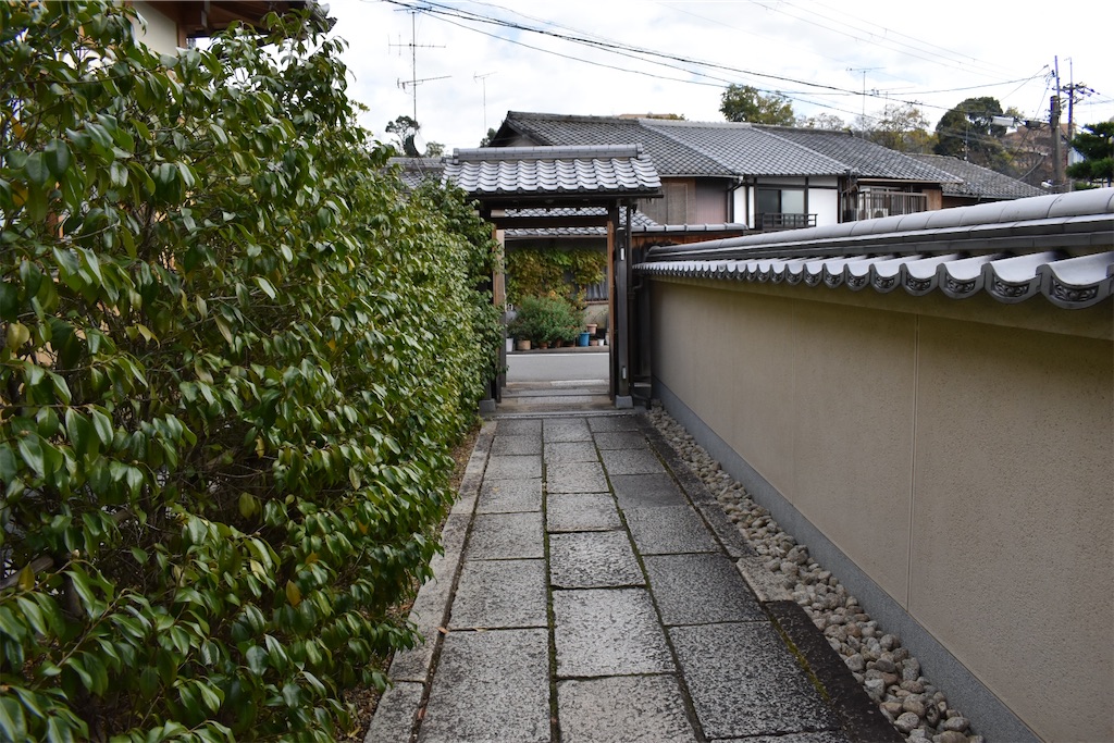 f:id:matsumotoyusuke:20210203220007j:image