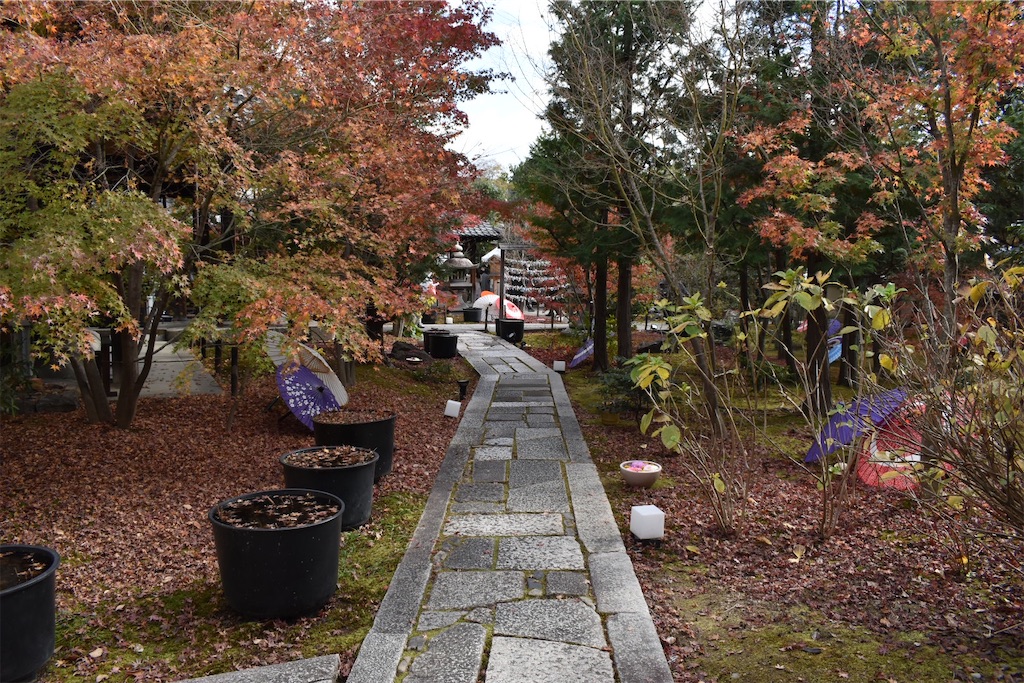 f:id:matsumotoyusuke:20210203220015j:image