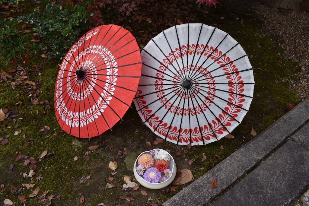 f:id:matsumotoyusuke:20210203220018j:image