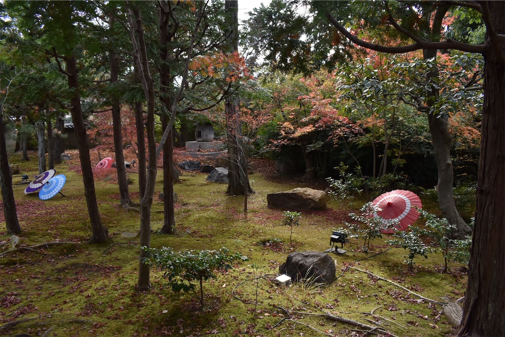 f:id:matsumotoyusuke:20210203220034j:image