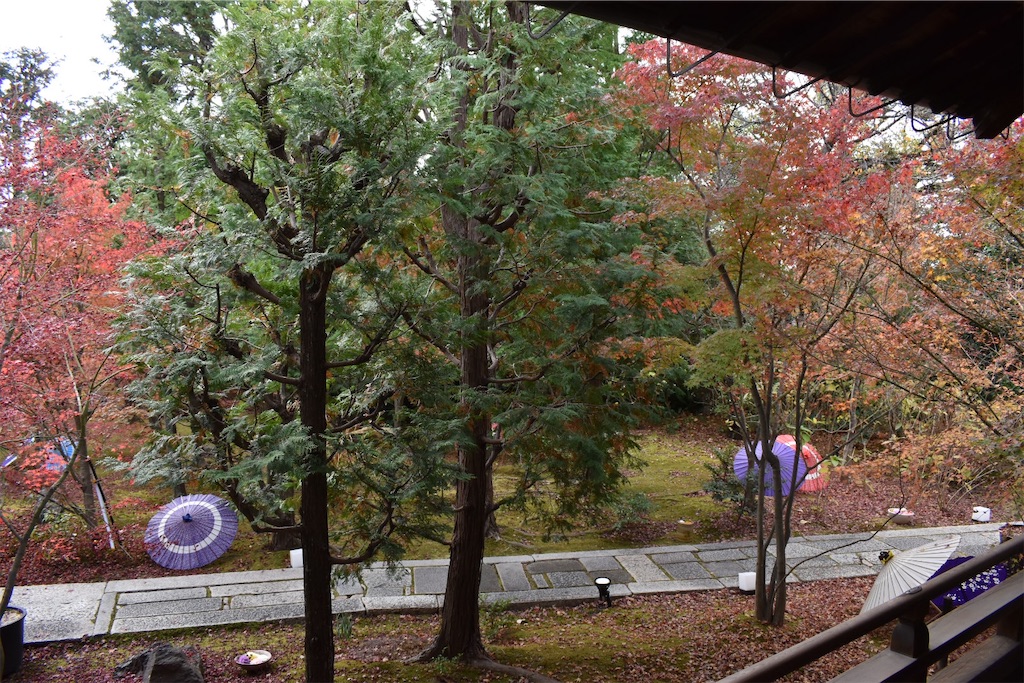 f:id:matsumotoyusuke:20210203220045j:image