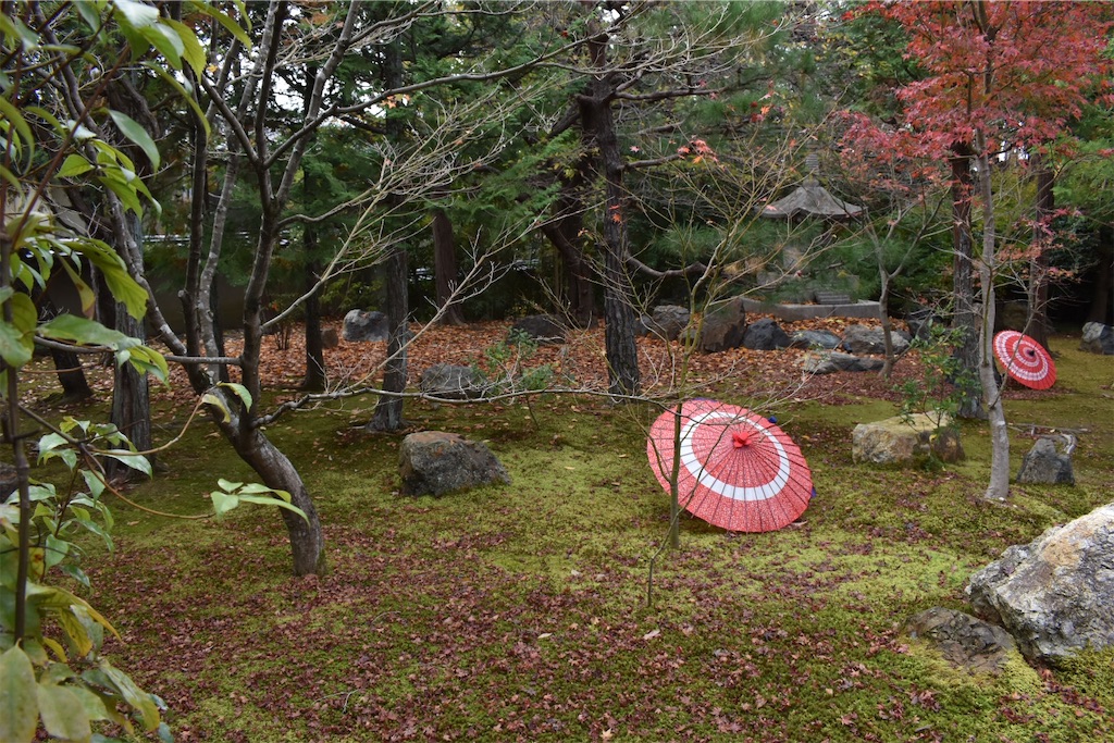 f:id:matsumotoyusuke:20210203220050j:image
