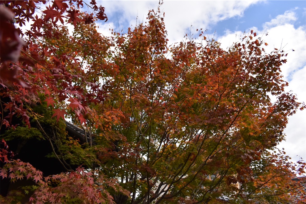 f:id:matsumotoyusuke:20210203220053j:image