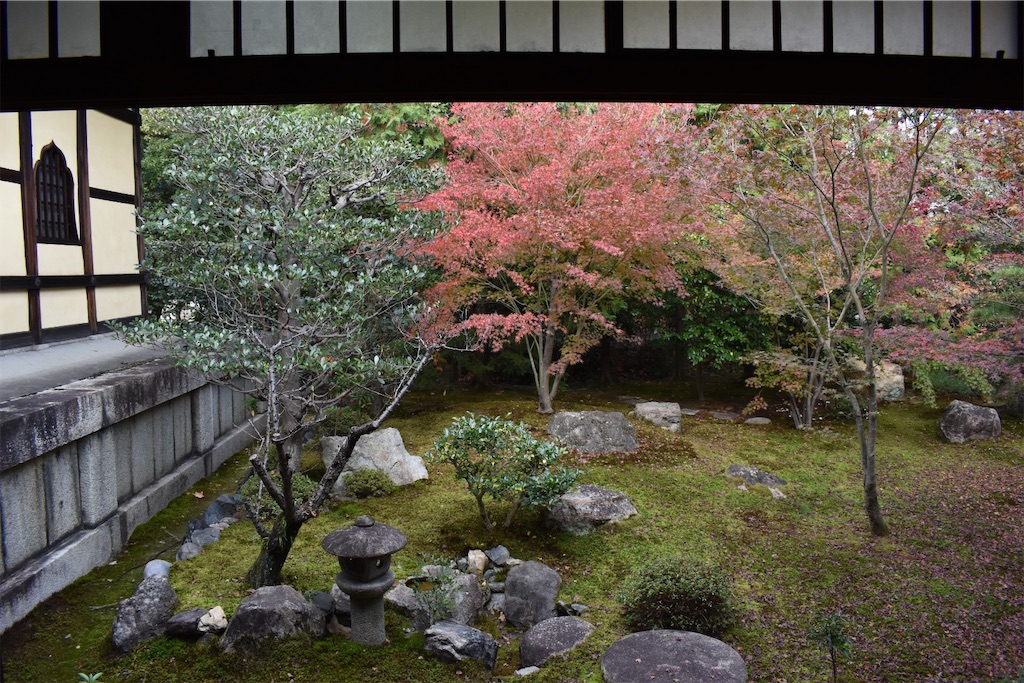 f:id:matsumotoyusuke:20210203220107j:image