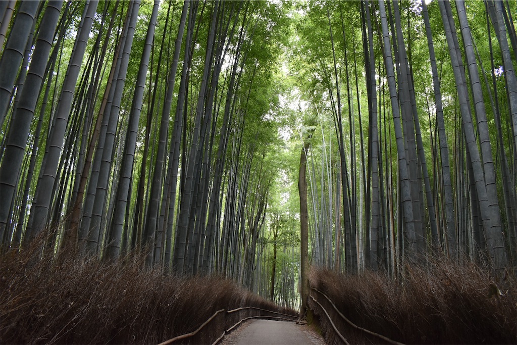 f:id:matsumotoyusuke:20210205233802j:image