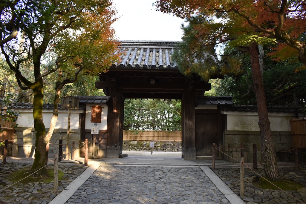 f:id:matsumotoyusuke:20210302142514j:image