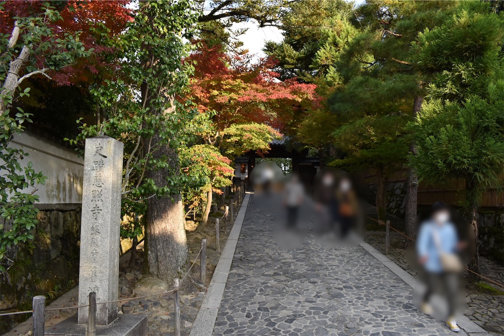f:id:matsumotoyusuke:20210302142656j:image