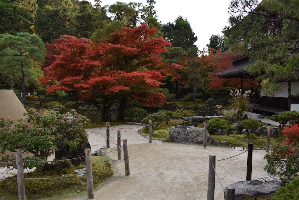 f:id:matsumotoyusuke:20210302142850j:image