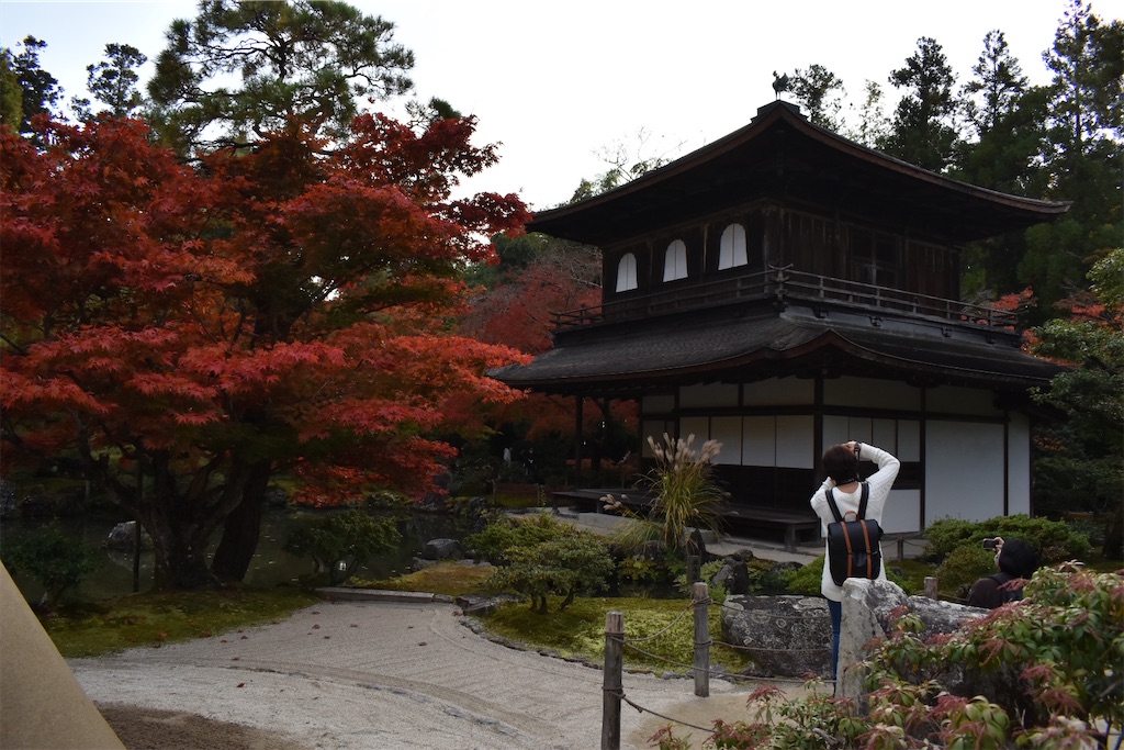 f:id:matsumotoyusuke:20210302143333j:image
