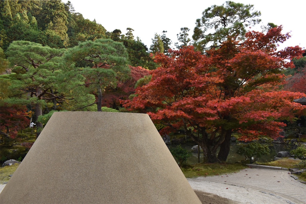 f:id:matsumotoyusuke:20210302143339j:image