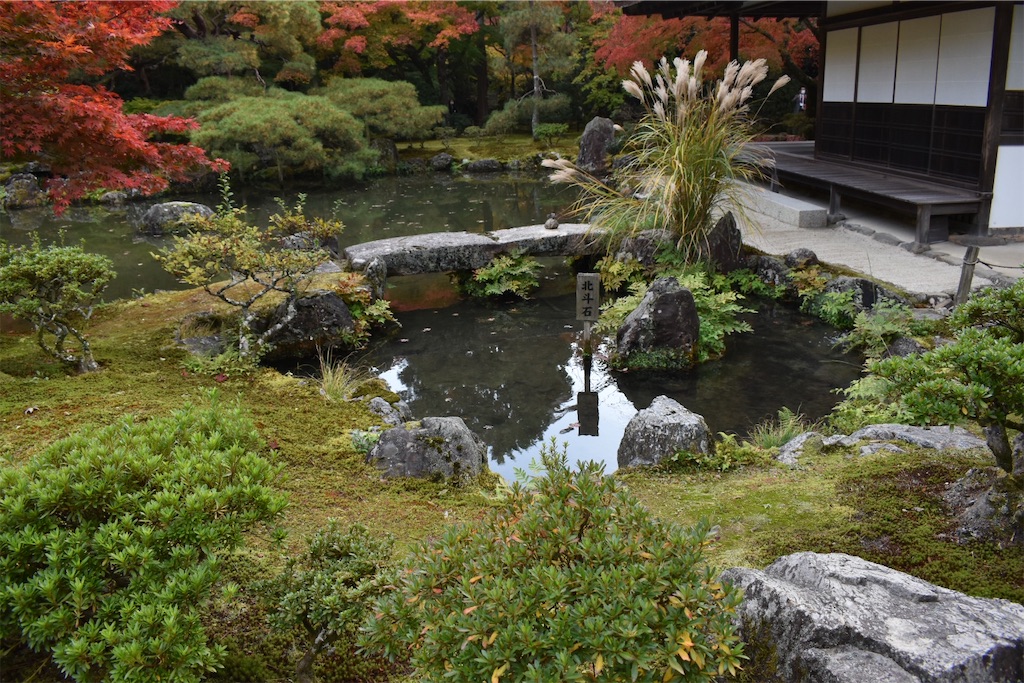 f:id:matsumotoyusuke:20210302143345j:image