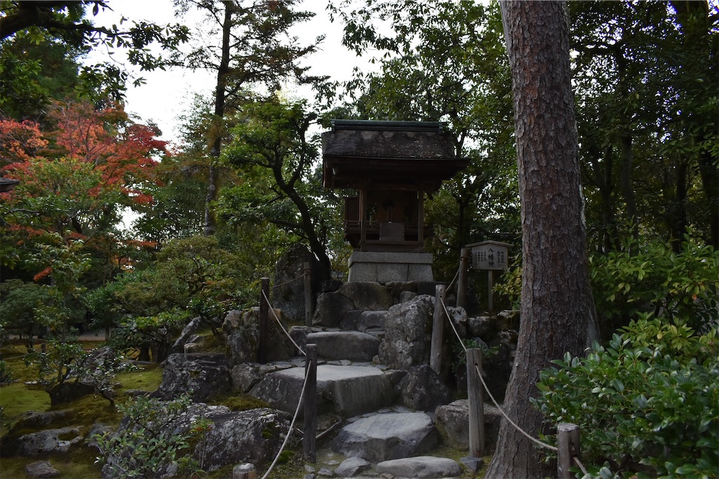 f:id:matsumotoyusuke:20210302143406j:image