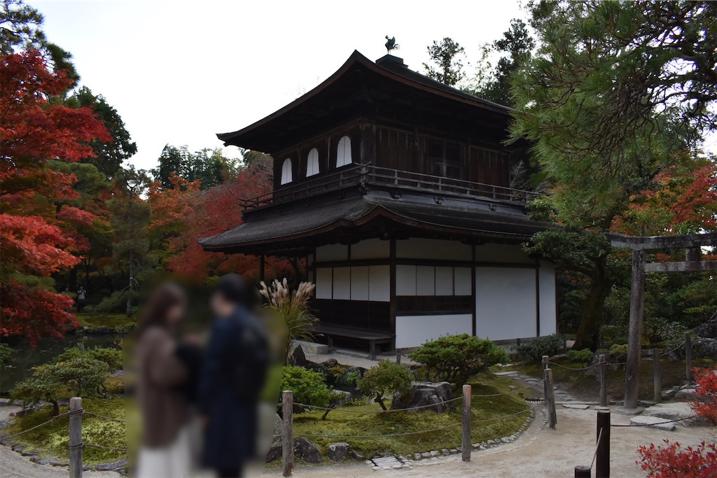 f:id:matsumotoyusuke:20210302143425j:image