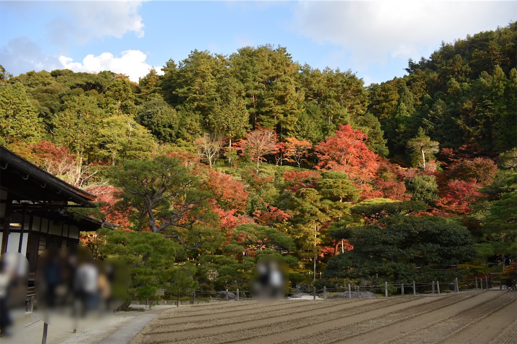 f:id:matsumotoyusuke:20210302143435j:image
