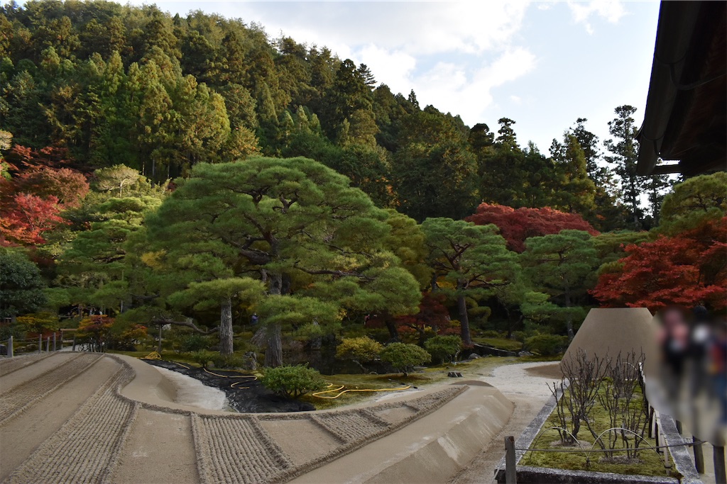 f:id:matsumotoyusuke:20210302143441j:image