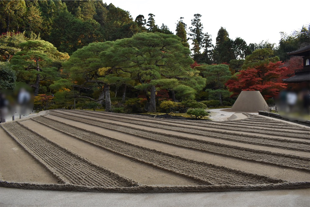 f:id:matsumotoyusuke:20210302143447j:image