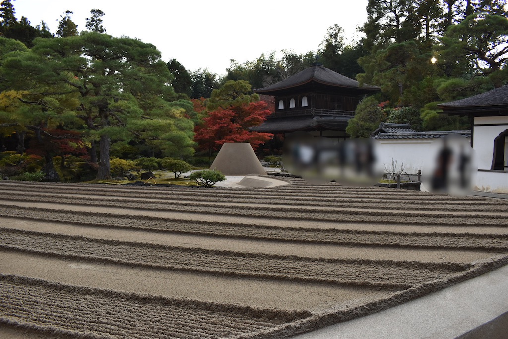 f:id:matsumotoyusuke:20210302143452j:image