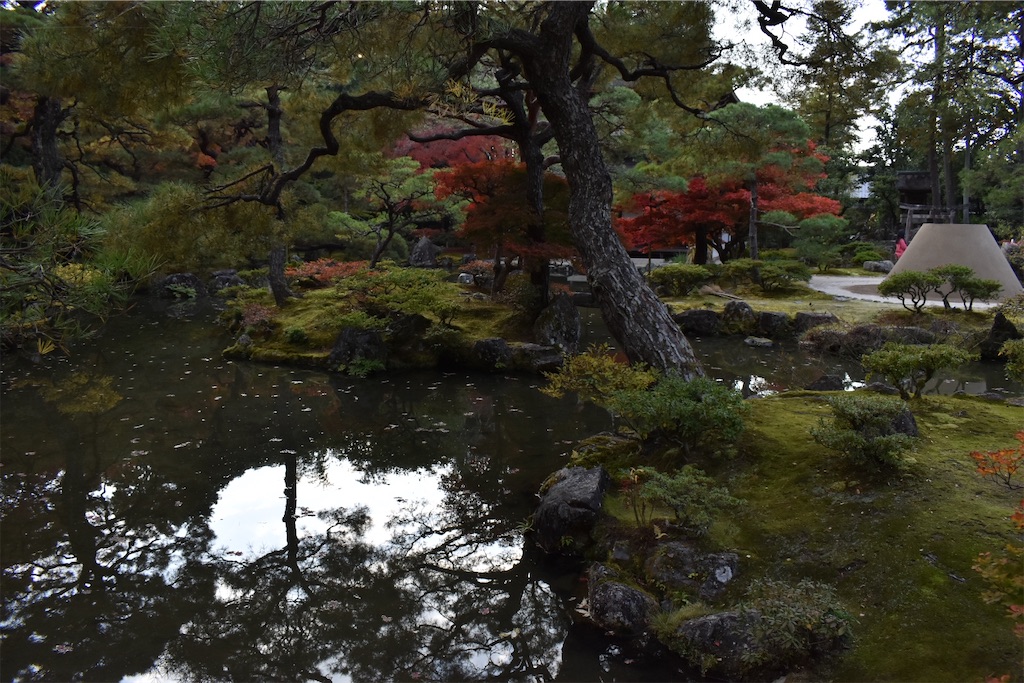 f:id:matsumotoyusuke:20210302143914j:image